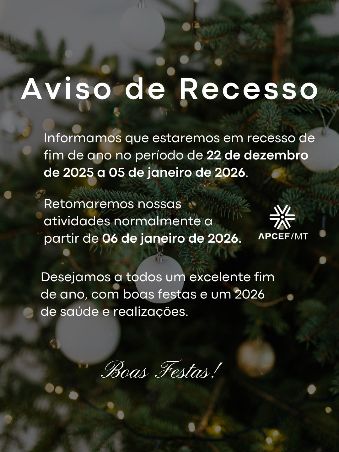 WhatsApp Image 2025-12-12 at 17.14.02.jpeg